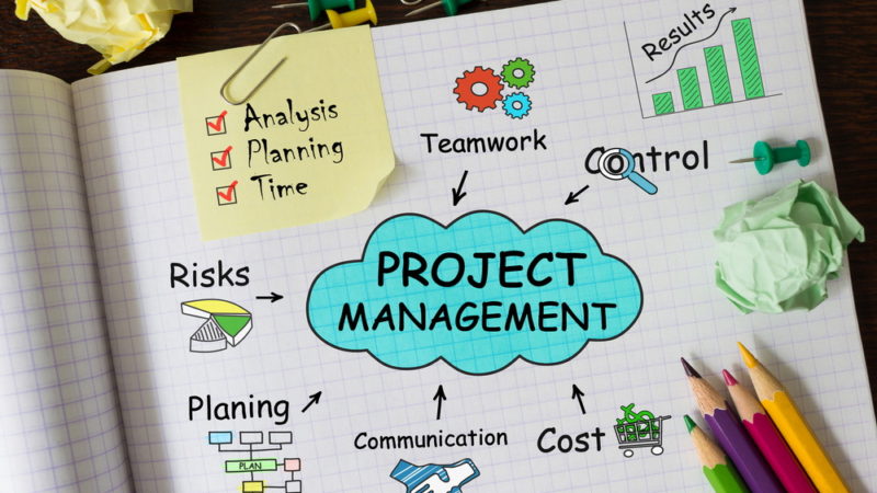 What Is a Project Manager Without Leadership Skills?