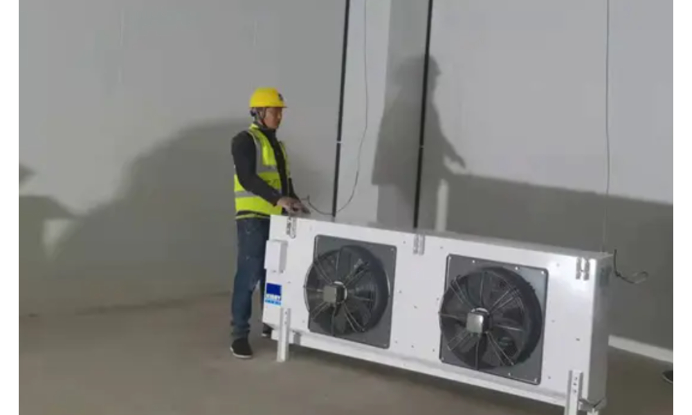 Pharmaceutical Cold Storage Project Construction By China Solution Specialists