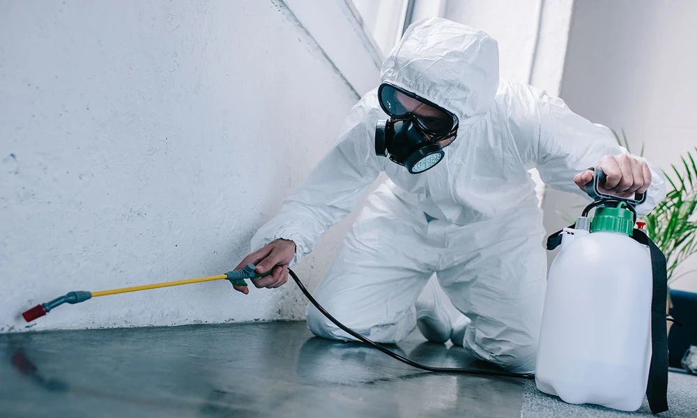 Why Pest Control Requires a Different Approach in Singapore